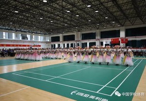 专科体育高水平比赛要求