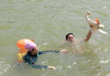 体育游戏赶鸭子特点
