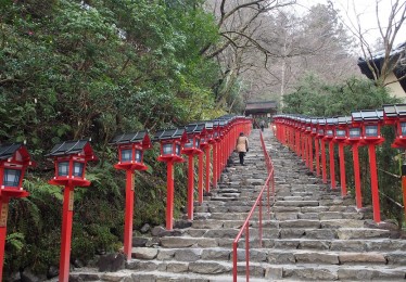 曝张本智和奥运前参拜争议神社，运动员与信仰的冲突