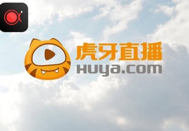 赛事概况