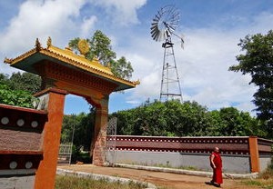 青岛疫情新动态，34例本土确诊背后的防控策略与个人防护指南