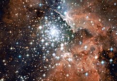 摇滚乐坛的传奇，盘尼西林主唱——从尘埃到星辰的音乐革命者