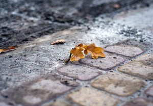 河南疫情新动态，新增本土无症状感染者53例，防控措施再升级