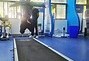 体育体测是什么