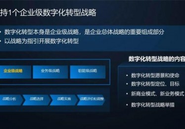 数字化转型促进中心政策