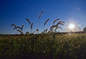 全国秋收近四成，收获的季节与农业发展的思考