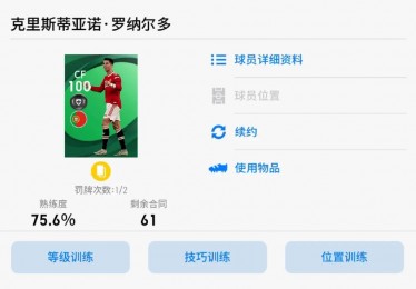 实况足球游戏与现实的交融

采访提纲