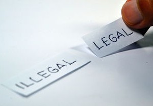 网购仅退款19元，商家起诉赔800，小纠纷背后的法律与道德考量
