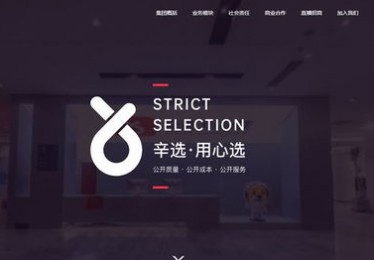 海外直播文化交流与经济发展的双赢之道