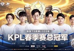 总决赛败方fmvp