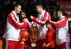 星光熠熠中国全明星赛的璀璨之夜