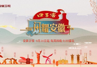 安徽综艺频道在线直播服务全面升级，观众体验大幅提升