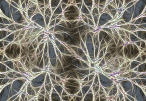 疫情新动态，全球视角下的挑战与希望
