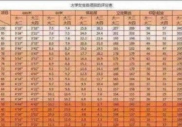 中考体育评分标准计算方法