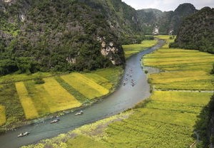疫情新动态，31省新增本土51例，我们如何保持警惕与应对？