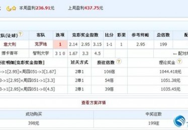 揭秘2021年欧洲杯足球盛宴背后的经济巨浪