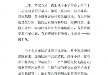 关于体育好的人的作文500字