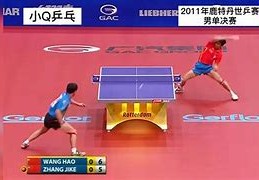世乒赛名单