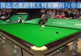 标题探寻体育之星的成长之路