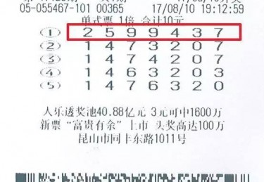 体育彩票位数解析理解彩票号码的构成与玩法