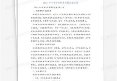 体育教学实施报告