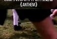**世界杯主题曲的历史与意义
-**