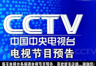 央视二套直播在线观看手机版