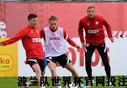 欧洲杯波兰厉害吗