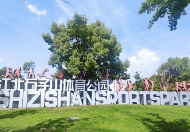 **重庆体育的现状与未来
-**