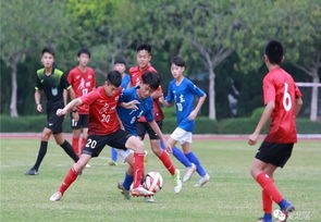 【直播足球狂欢夜】——与全球球迷共襄盛举！