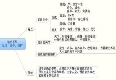 体育卫生是什么