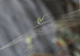 北京本土疫情最新动态，新增确诊病例详情解析