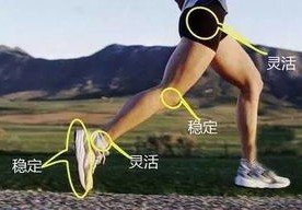 体育与体育科学的理解和看法