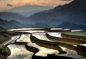 深圳经济特区40周年，从改革开放的试验田到全球创新高地的飞跃