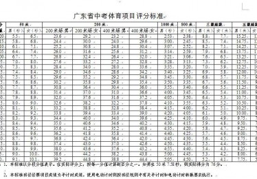 广东体育中考评分标准2024
