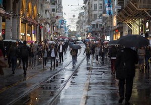 上海金沙江路，一场城市交通的突发剧变——深度解析与反思