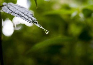 呼和浩特疫情动态，最新情况与防控措施