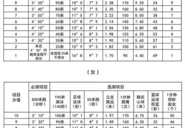 初中体育考试成绩分析