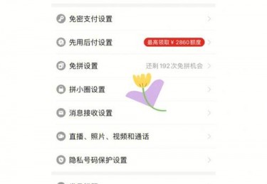 拼多多欧洲杯摇一摇