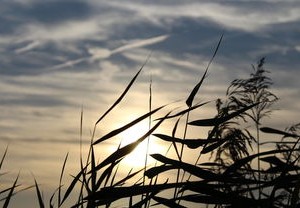无锡疫情最新动态，昨日新增31例阳性，市民生活与防控措施全解析
