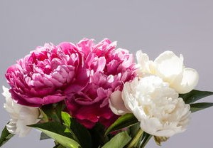 深圳疫情新动态，新增60例本土病例，6例无症状感染者，防控措施升级