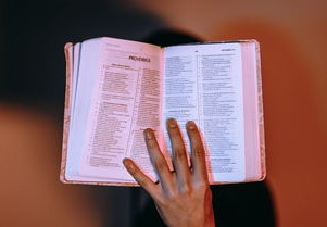 美国疫情风暴，27万确诊病例背后的数字与现实