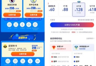 今天欧洲杯在哪里举行