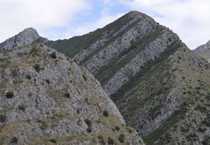 黑山对荷兰