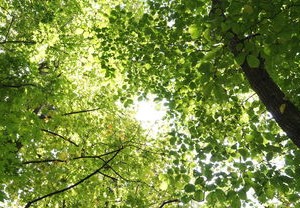 辽宁疫情新动态，昨日新增3例本土确诊的详细解读与防控指南