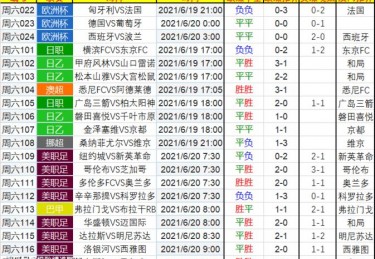 波兰足球队欧洲杯