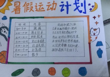 体育计划300字
