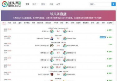 美洲杯决赛比分预测