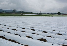 黑河疫情最新情况，共同关注，共同守护