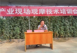 河北农民频道直播在线观看阳光网